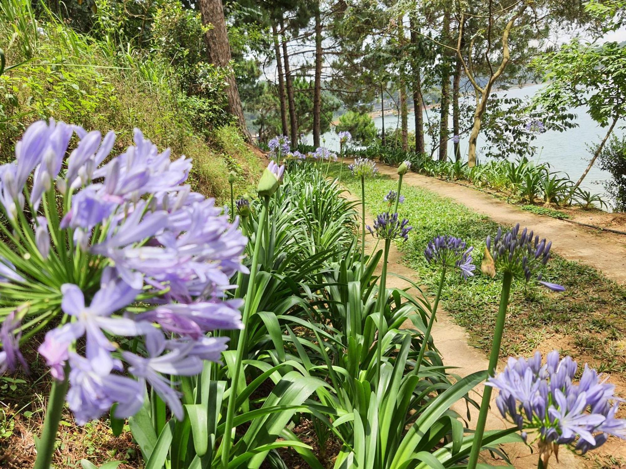 Dahlia Dalat Aparthotel Exterior photo